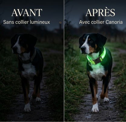 Collier lumineux‎ ‎ Canorya™