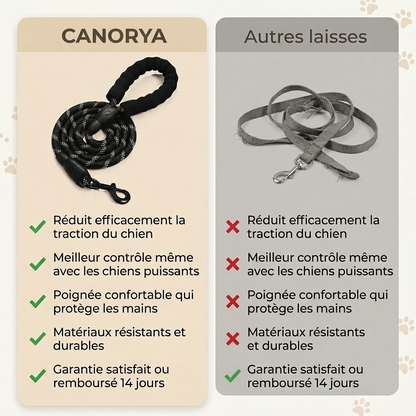 Laisse Anti-Traction Canorya™