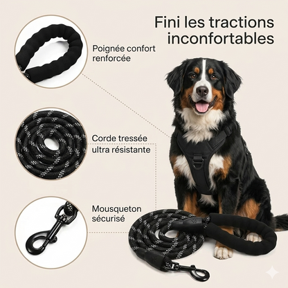 Laisse Anti-Traction Canorya™