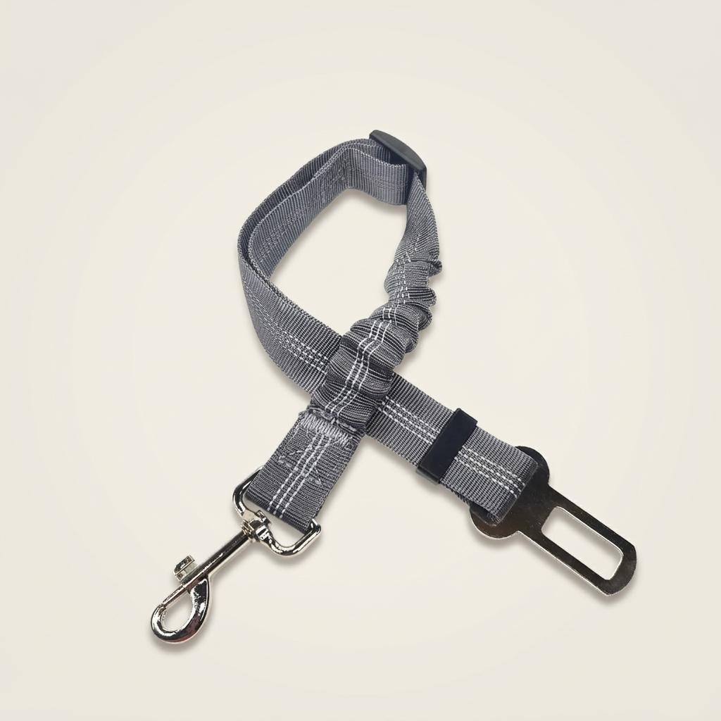 Ceinture de Sécurité Canorya™