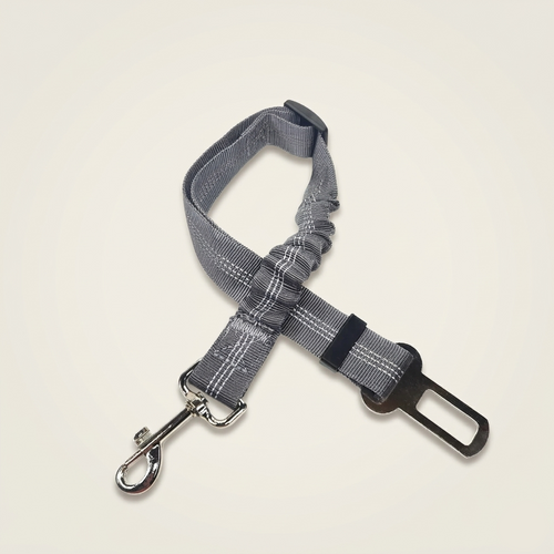 Ceinture de Sécurité Canorya™
