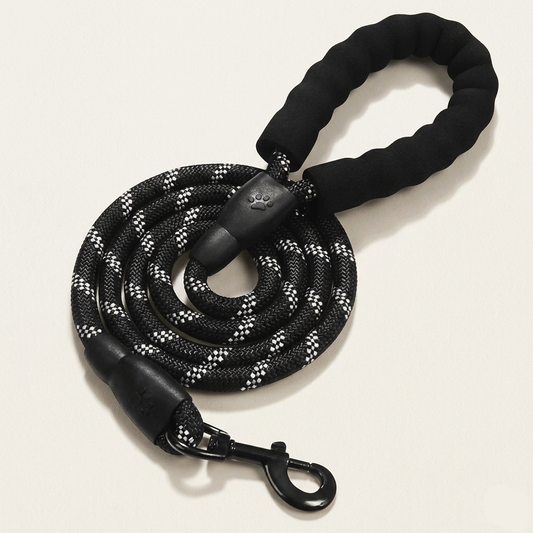 Laisse Anti-Traction Canorya™