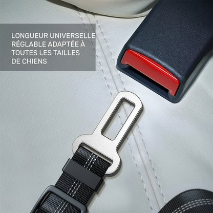 Ceinture de Sécurité Canorya™