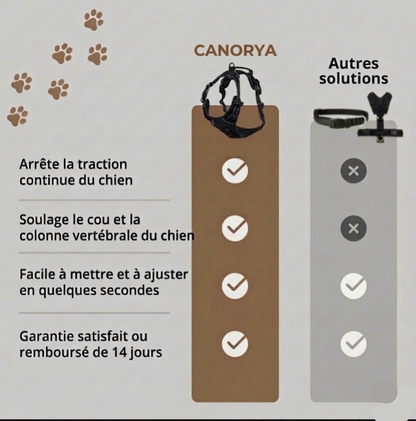 Harnais Anti-Traction Canorya™