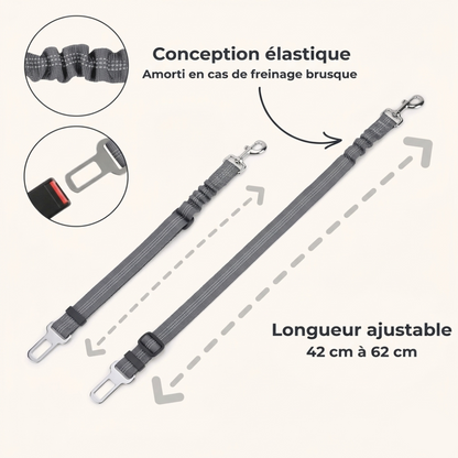 Ceinture de Sécurité Canorya™