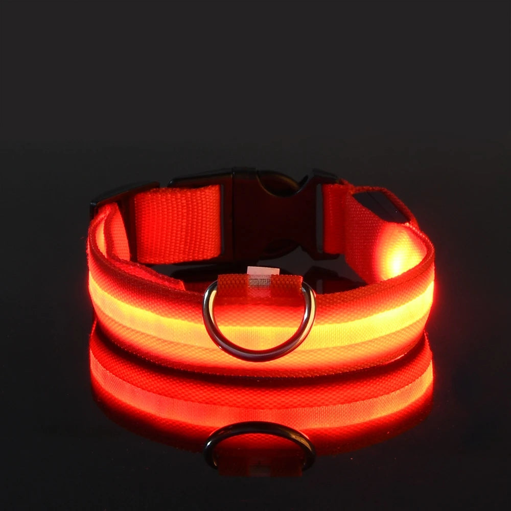 Collier lumineux‎ ‎ Canorya™