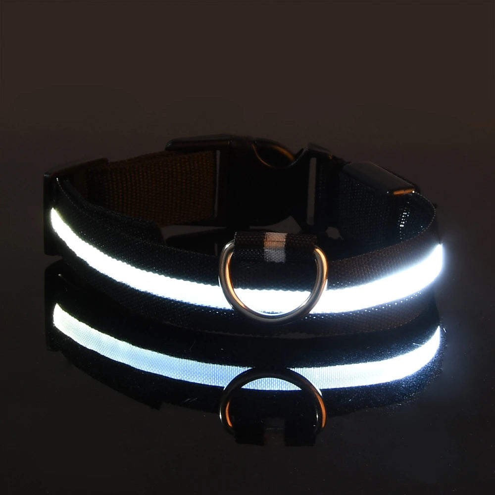 Collier lumineux‎ ‎ Canorya™