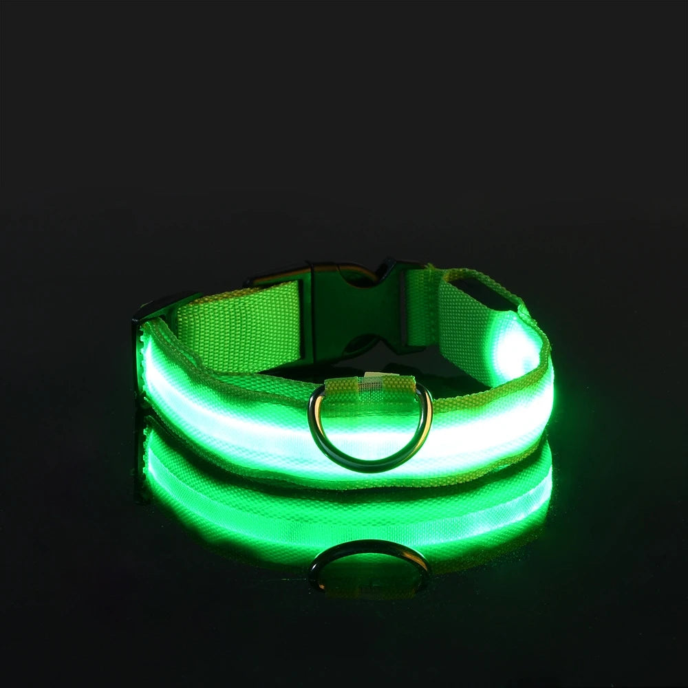 Collier lumineux‎ ‎ Canorya™