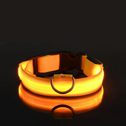 Collier lumineux‎ ‎ Canorya™