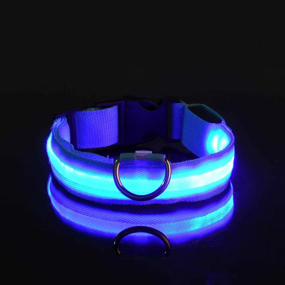 Collier lumineux‎ ‎ Canorya™