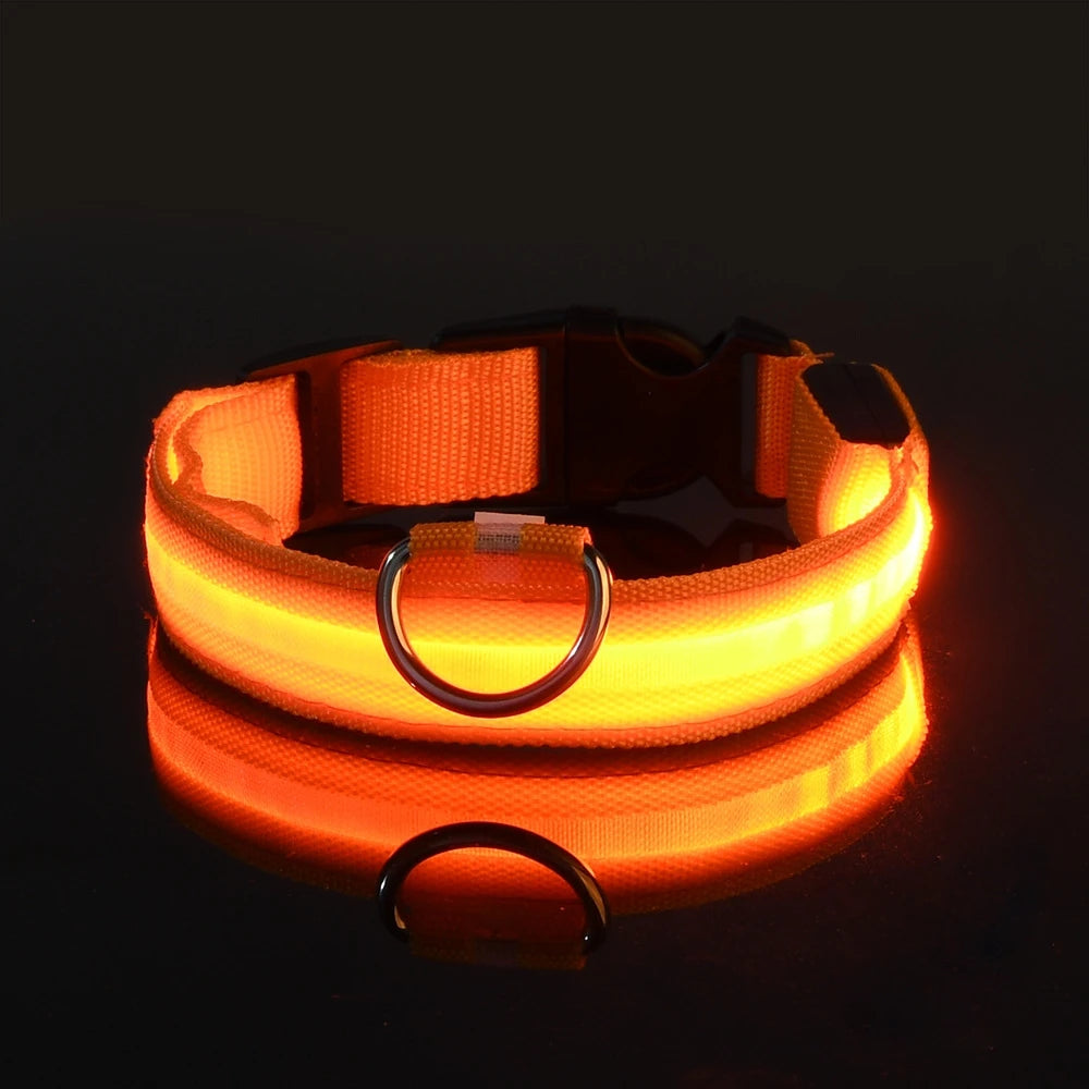 Collier lumineux‎ ‎ Canorya™