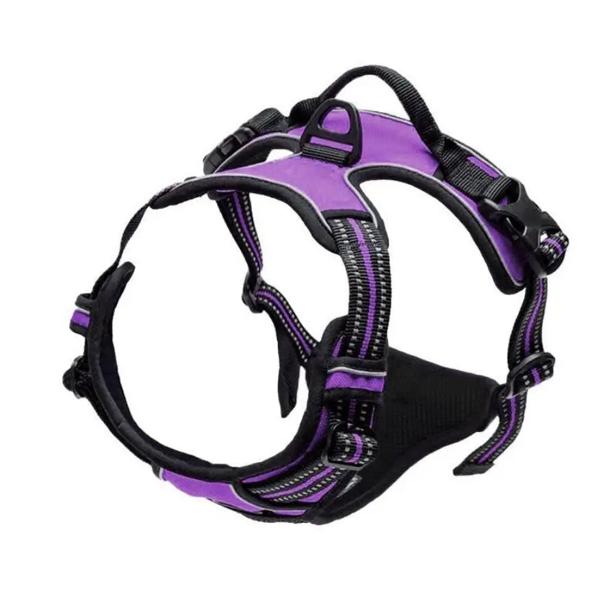 Harnais Anti-Traction Canorya™