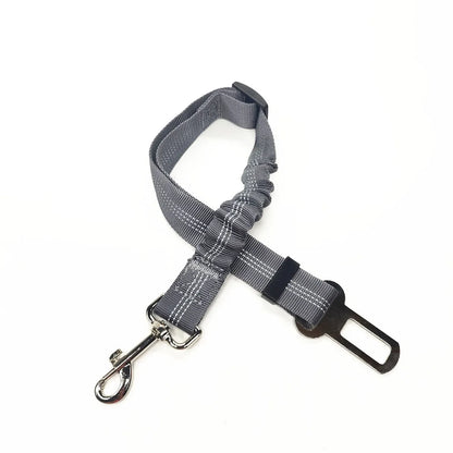 Ceinture de Sécurité Canorya™