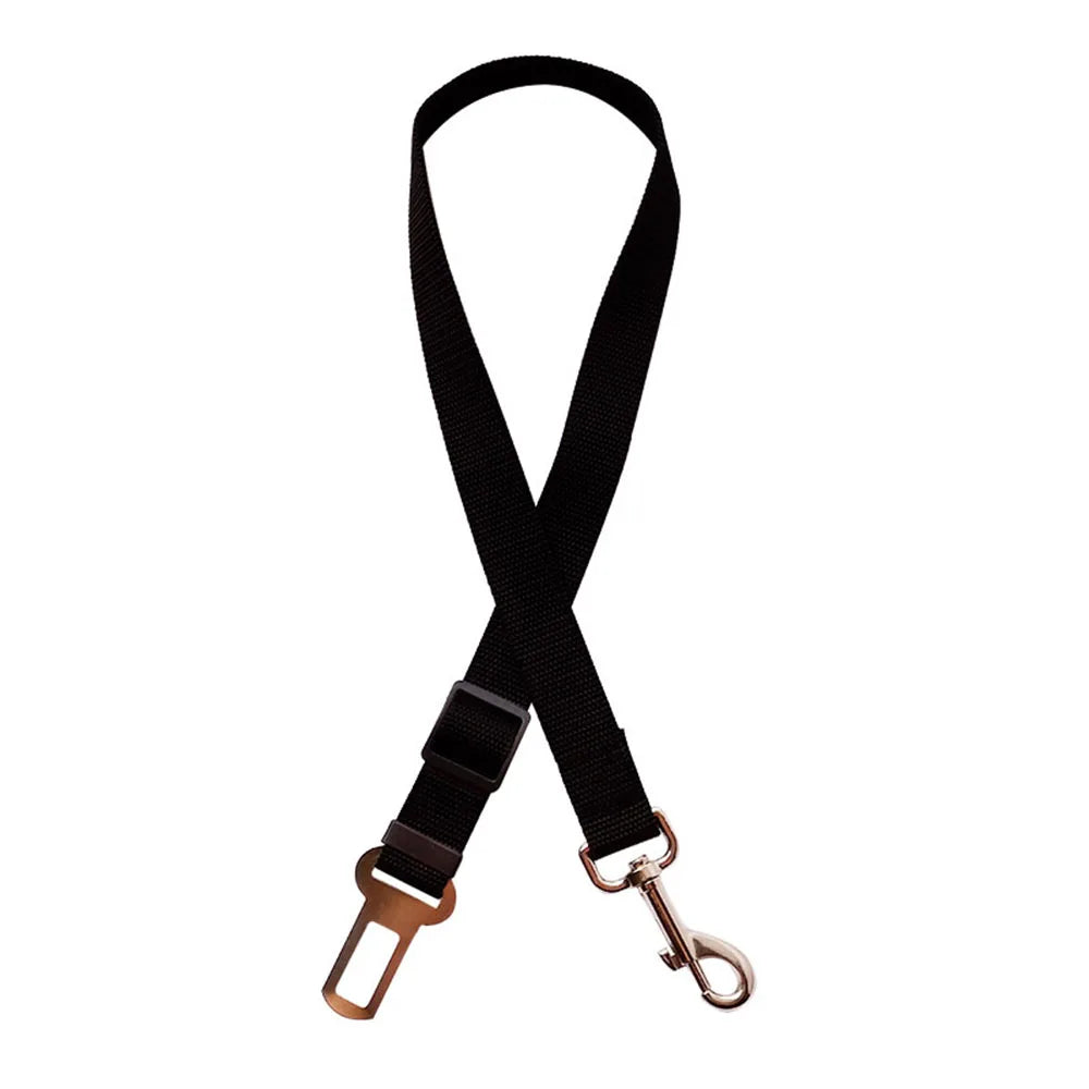 Ceinture de Sécurité Canorya™