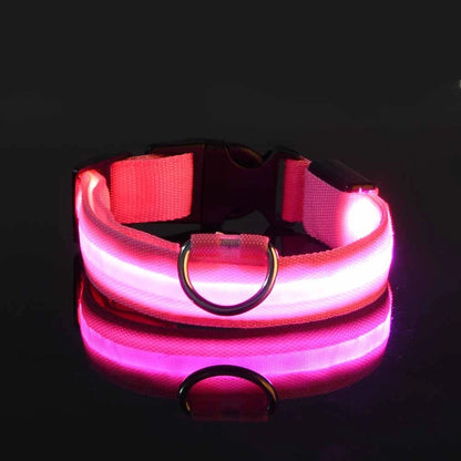 Collier lumineux‎ ‎ Canorya™