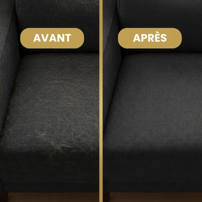 Avant après : canapé nettoyé des poils de chat avec le gant Canorya