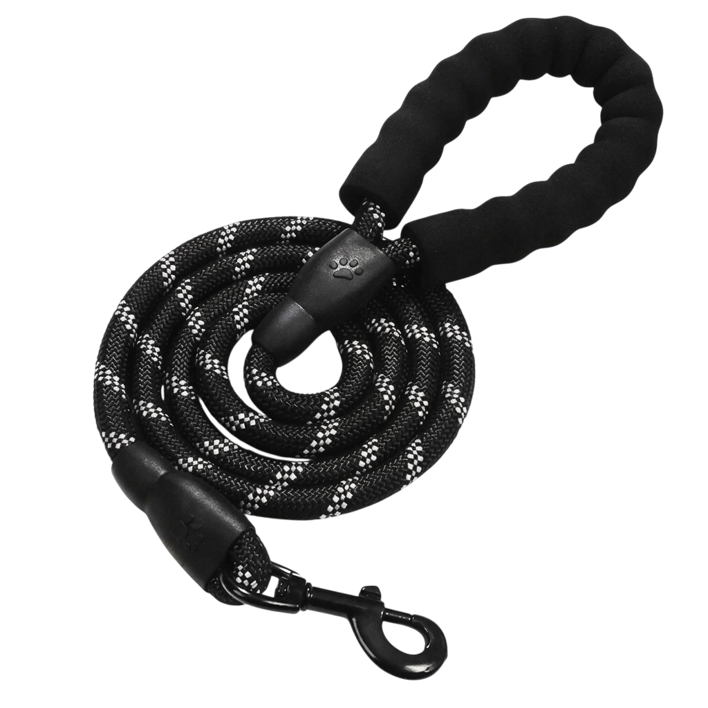 Laisse Anti-Traction Canorya™