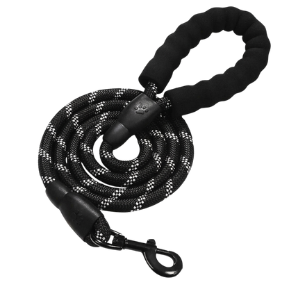Laisse Anti-Traction Canorya™